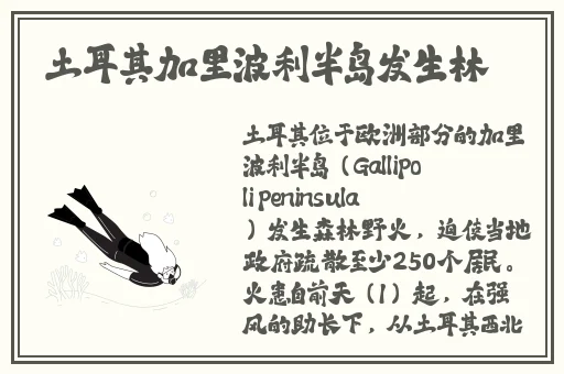 精品**系列无码专区久久